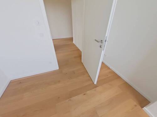 Zimmer - 
