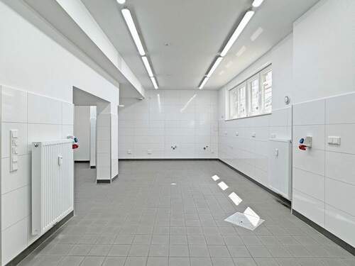 Keller - Büro in Bremen zur Miete