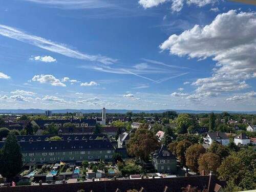 Ausblick in die Haardt. - 