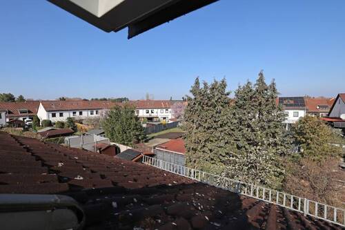 Blick in die Umgebung - 