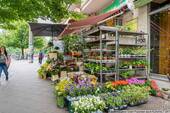 Umgebung - 
