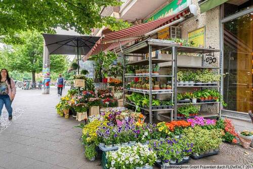 Umgebung - 