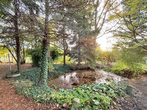 Teich auf dem Grundstück - 5 Zimmer Mehrfamilienhaus, Wohnhaus in Oschatz