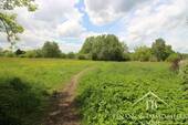 Bild 5 - 