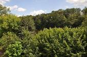 Blick zum See.JPG - 4 Zimmer Einfamilienhaus in Geithain