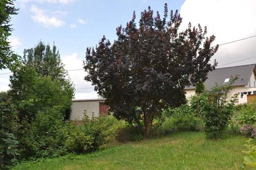 Garten mit Garage.JPG - Einfamilienhaus mit 127,00 m² in Geithain zum Kaufen