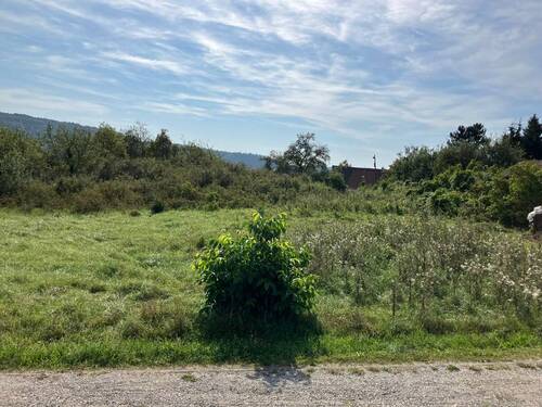 Ansicht von Norden - Grundstück in Berching