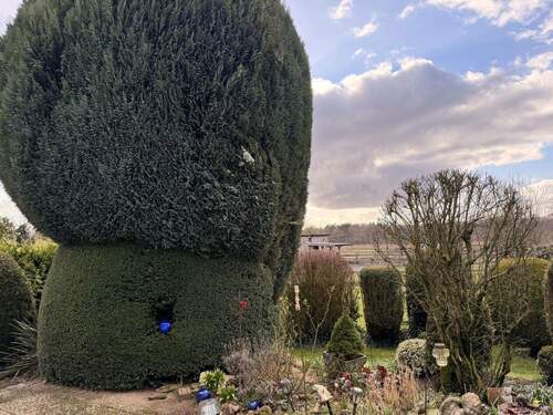 Blick vom Garten - ***ROSENGARTEN-LANGENREHM***BAUGRUND MIT SCHÖNEM BLICK ZU VERKAUFEN***