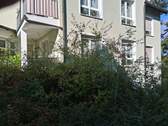 Ansicht Wohnung - 2 Zimmer Etagenwohnung in Plauen