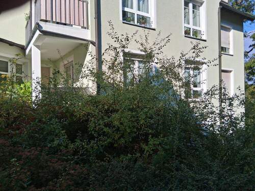 Ansicht Wohnung - 2 Zimmer Etagenwohnung in Plauen