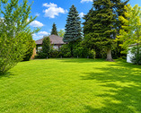 Garten vorm Haus - Grundstück in Bad Homburg vor der Höhe