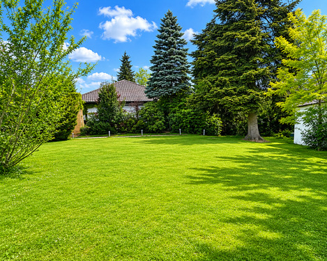 Garten vorm Haus - Grundstück in Bad Homburg vor der Höhe