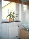 CIMG0961.jpg - 