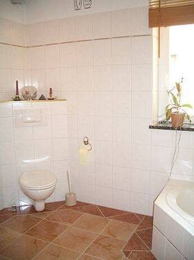 CIMG0965.jpg - 