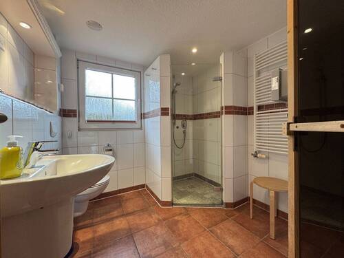 Tageslicht-Duschbad mit Sauna im Erdgeschoss - 