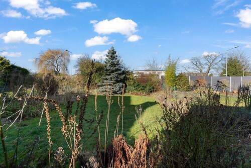 Garten - 4 Zimmer Doppelhaushälfte zum Kaufen in Köln