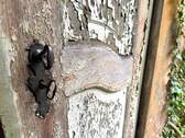 Detailansicht - 