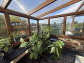 Gewächshaus - 