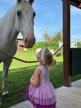 Gäste an der Terrasse - 