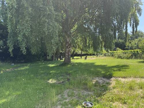 Garten - 