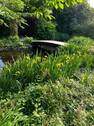 Brücke über Teich - 