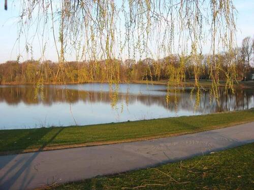 Umgebung (Gr. Hagebergbecken) - 
