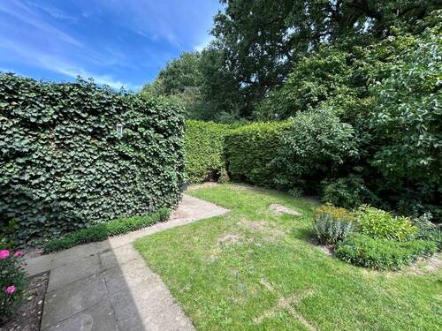 20250808_105239100_iOS - 