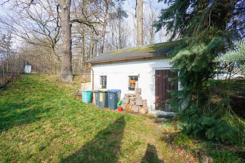 Schuppen - 