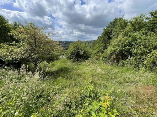 Separates Gartengrundstück - 