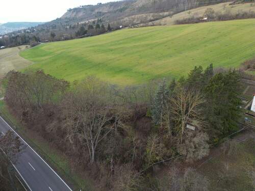Luftaufnahme - Freizeitgrundstück an der Eisenberger Straße sucht neuen Eigentümer