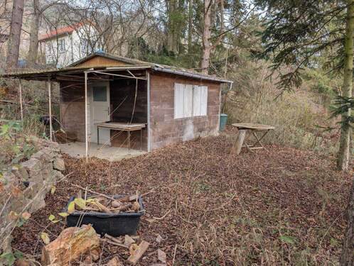 PXL_20251203_124929686 - Grundstück in Jena zum Kaufen