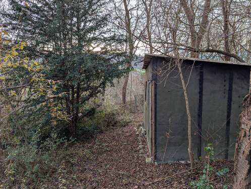 PXL_20251203_124909442 - 