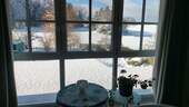 Blick in den Garten - 