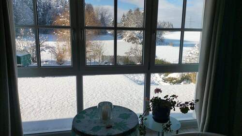 Blick in den Garten - 