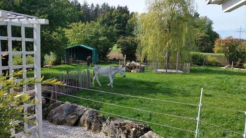 Garten - 
