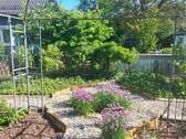 Gemüsegarten - 