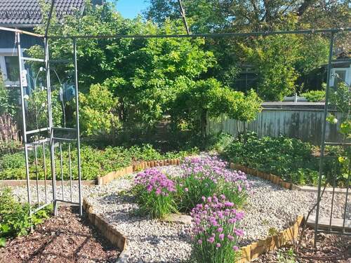Gemüsegarten - 