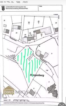 Bild 2 - Grundstück in Mettendorf