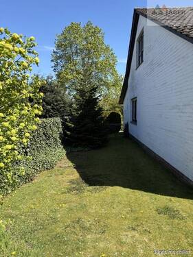 seitlicher Garten - 