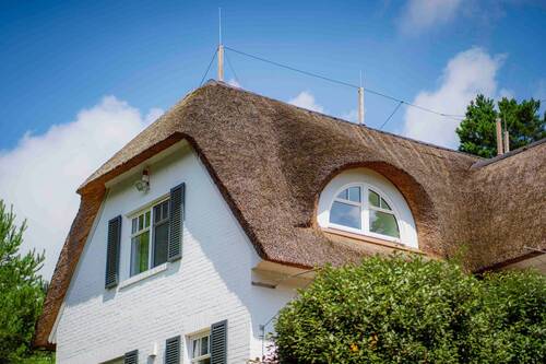 Fledermausgaube - 