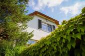 Neugierig geworden? - 