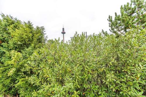Ausblick - 