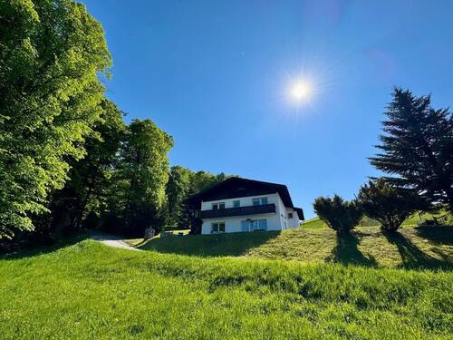 Am Ende einer Sackgasse - 