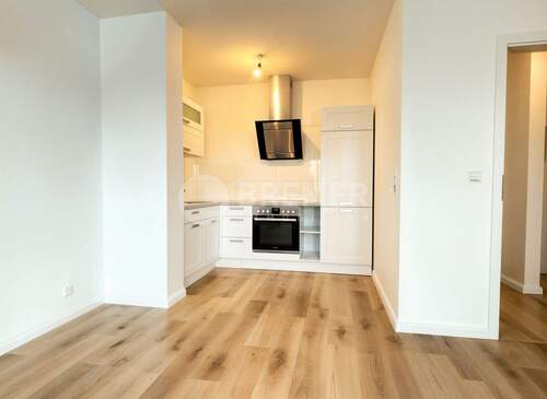 Wohnzimmer mit offener Küche - 2 Zimmer Etagenwohnung zur Miete in Reppenstedt