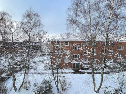 Ausblick vom Balkon - 