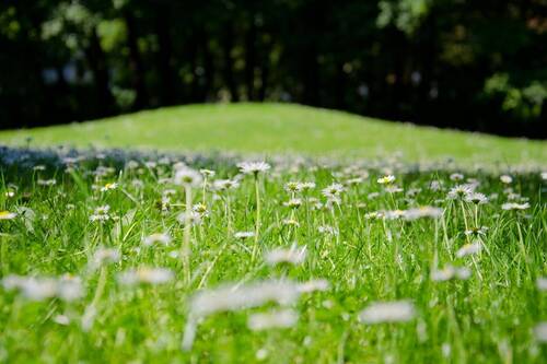 Grundstück - AIGNER - Sonniges Erbbaugrundstück in Waldtrudering