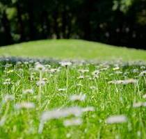 AIGNER - Sonniges Erbbaugrundstück in Waldtrudering - München Trudering-Riem