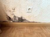 Feuchtigkeitsprobleme - 