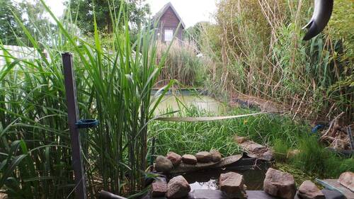 Garten mit Außenküche - 