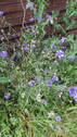 Bild 17 - 